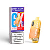 Lost Mary BM6000 Rechargeable Vape Kit (Box of 5)